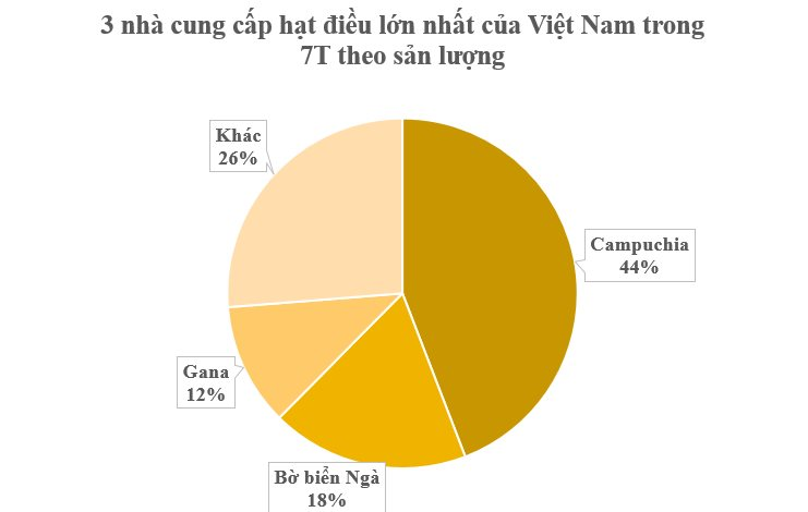 Hàng trăm nghìn tấn hàng từ châu Phi đổ bộ đưa Việt Nam trở thành ông trùm xuất khẩu của thế giới: Giá hấp dẫn, nước ta chi hơn 2 tỷ USD gom hàng - Ảnh 2