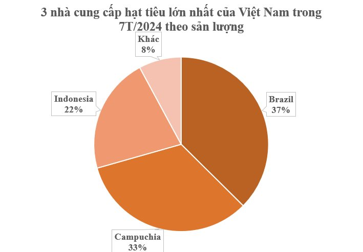 Cứu tinh từ Campuchia, Brazil đổ bộ giúp Việt Nam xuất khẩu vượt xa cả thế giới: Thu hơn 700 triệu USD từ đầu năm, 120 quốc gia liên tục chốt đơn - Ảnh 2
