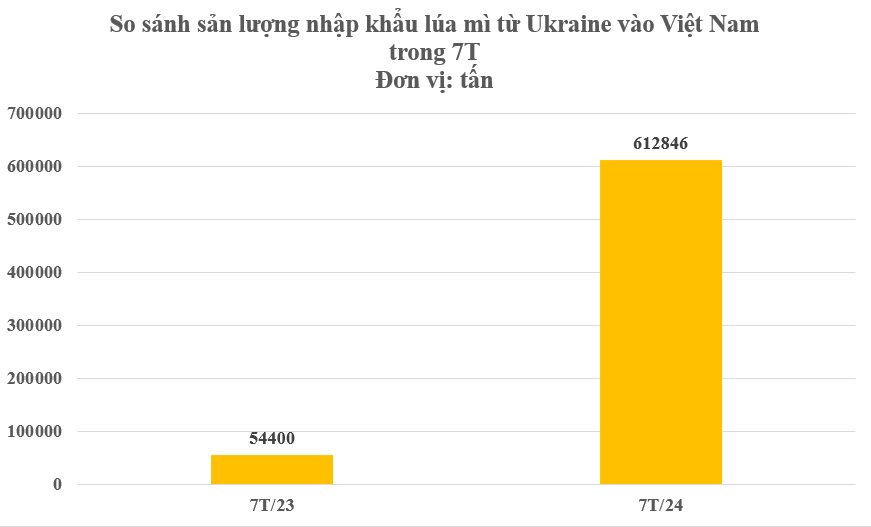 Ukraine gửi đến Việt Nam hàng trăm nghìn tấn hàng mà thế giới đang lên cơn khát: Nhập khẩu tăng hơn 2.400%, nước ta chi gần 1 tỷ USD mua hàng - Ảnh 2