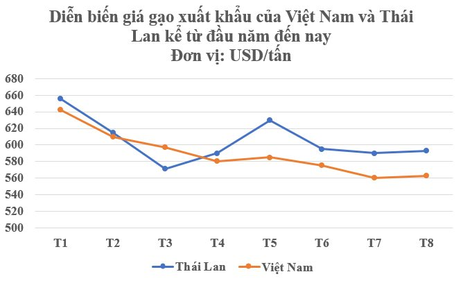Một 'báu vật trời ban' đưa Việt Nam và Thái Lan vào cuộc đua gay gắt chưa từng có: Giá tăng cao kỷ lục chỉ trong 1 năm, nước ta nắm giữ 1 lợi thế áp đảo - Ảnh 2