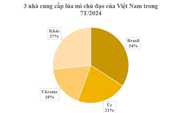 Ukraine gửi đến Việt Nam hàng trăm nghìn tấn hàng mà thế giới đang lên cơn khát: Nhập khẩu tăng hơn 2.400%, nước ta chi gần 1 tỷ USD mua hàng - Ảnh 3