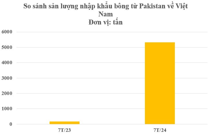 'Vàng trắng trên cây' từ Pakistan liên tục đổ bộ vào Việt Nam: Nhập khẩu tăng hơn 3.000%, nước ta tiêu thụ hàng triệu tấn mỗi năm - Ảnh 3