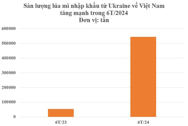 Giá siêu rẻ, một loại nông sản từ Ukraine đổ bộ Việt Nam tăng 900% trong nửa đầu năm: Thế giới ngày càng khan hiếm, Việt Nam chưa trồng được - Ảnh 3