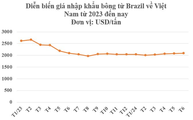 "Báu vật' từ Brazil đổ bộ Việt Nam với giá rẻ bất ngờ: Được mệnh danh vàng trắng trên cây, nước ta tiêu thụ đứng thứ 3 thế giới - Ảnh 2