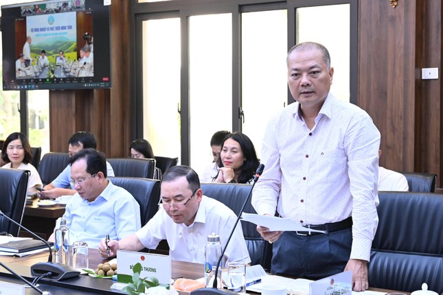 Đề xuất thành lập Hội đồng lúa gạo quốc gia - Ảnh 2