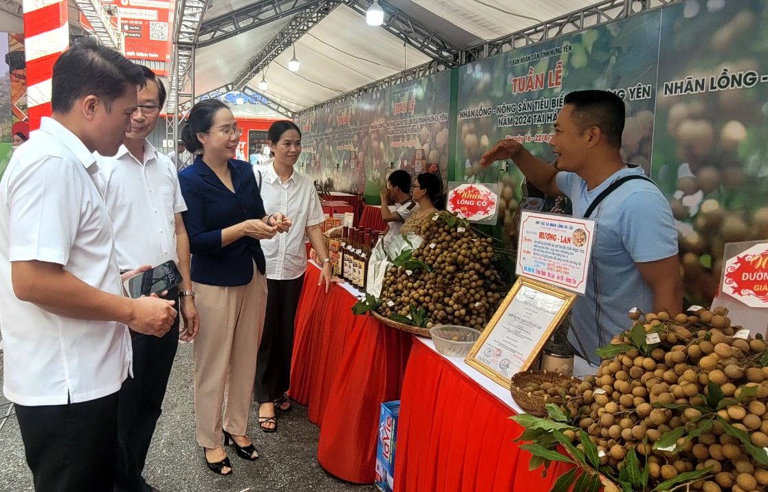 Một loại quả tiến vua của Hưng Yên giá cao chót vót - Ảnh 1