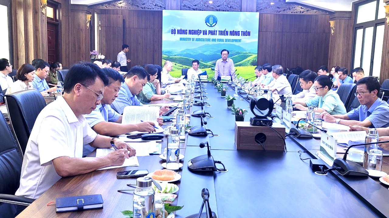 2 Bộ "bắt tay" đề xuất lập Hội đồng lúa gạo quốc gia - Ảnh 1