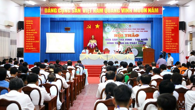 Loại dừa đắt nhất Việt Nam giá bao nhiêu? - Ảnh 1