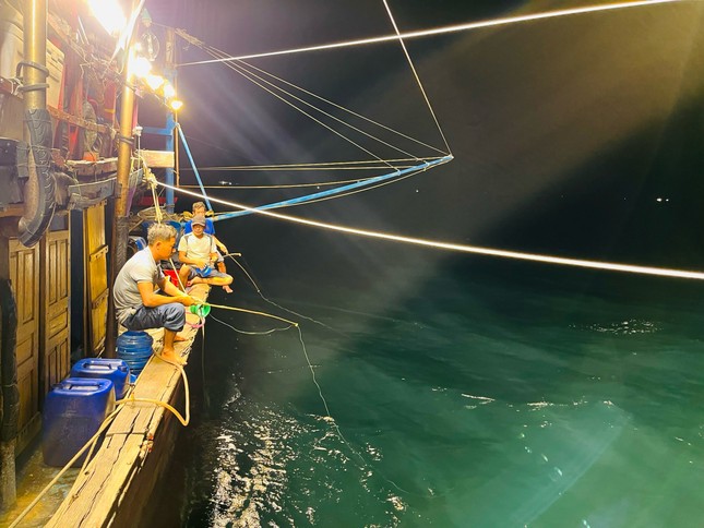 Mực xuất hiện dày đặc, có người câu được 100kg trong đêm - Ảnh 1