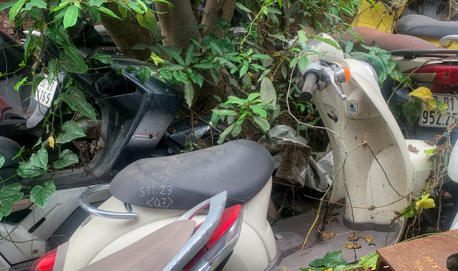 Hơn 130 xe máy được bán với giá siêu rẻ, bình quân chỉ 730.000 đồng/chiếc - Ảnh 2