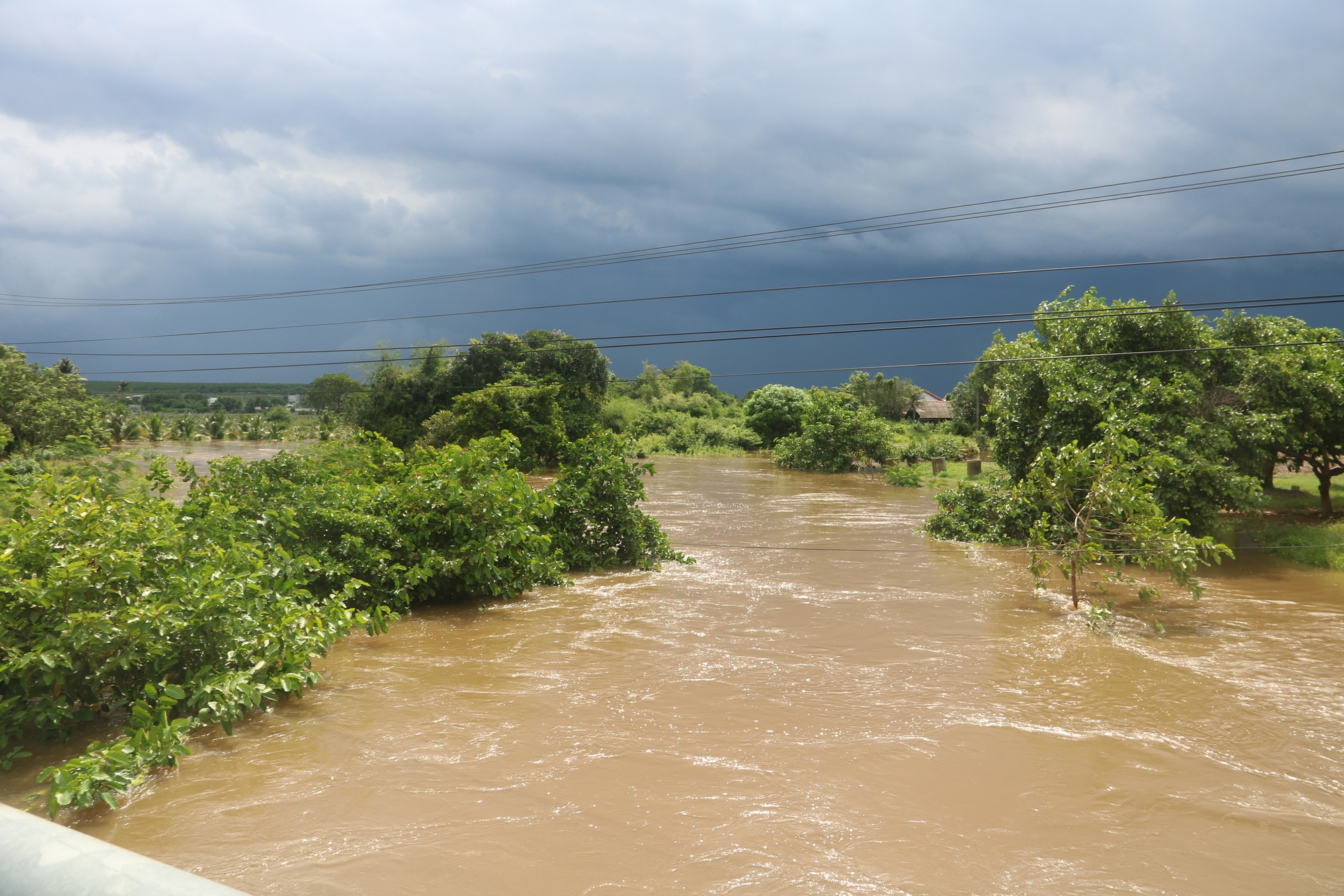 "Thủ phủ thanh long" Bình Thuận ngập nặng sau cơn mưa lớn - Ảnh 6
