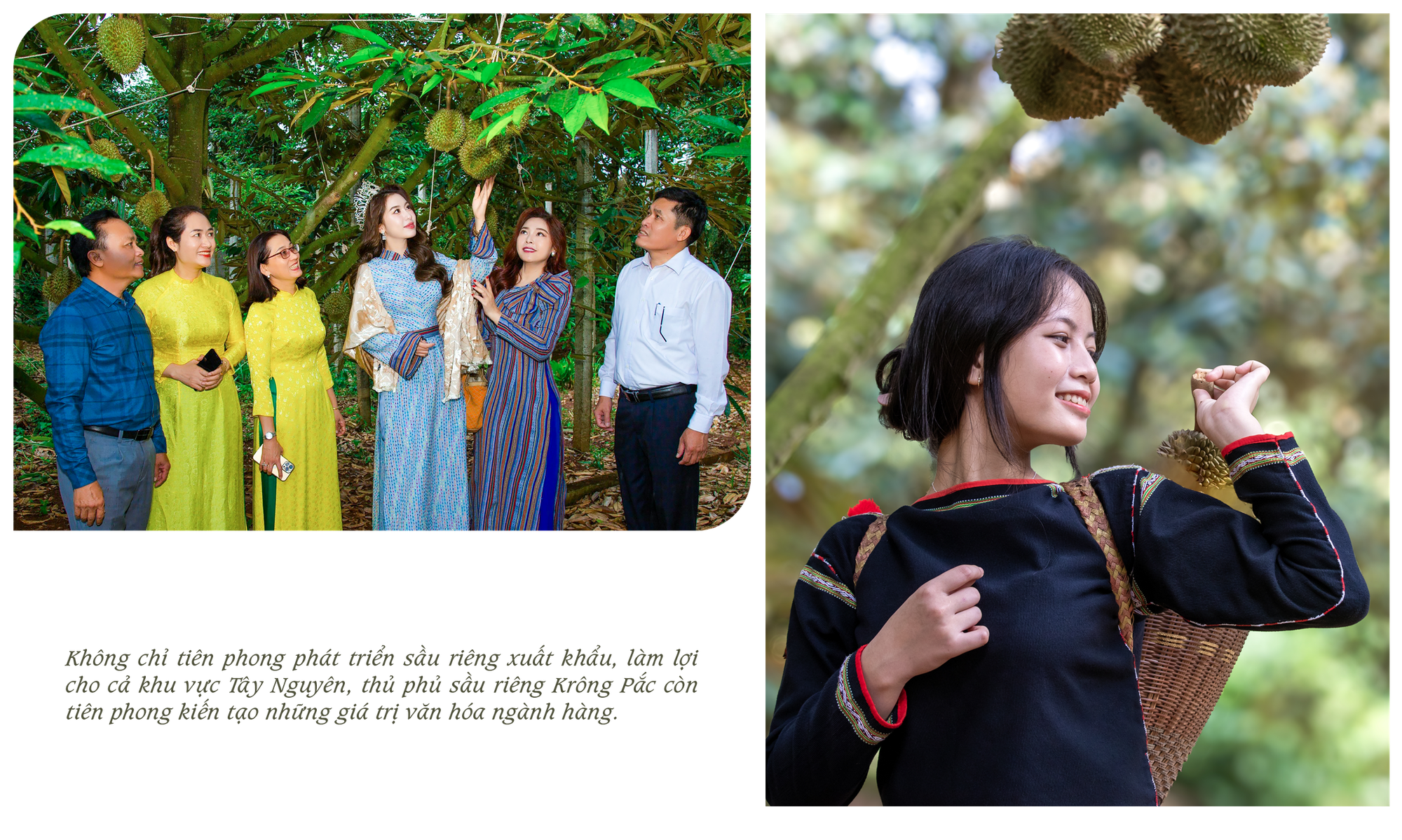 Rộn ràng ngày mùa ở thủ phủ sầu riêng Đắk Lắk - Ảnh 12