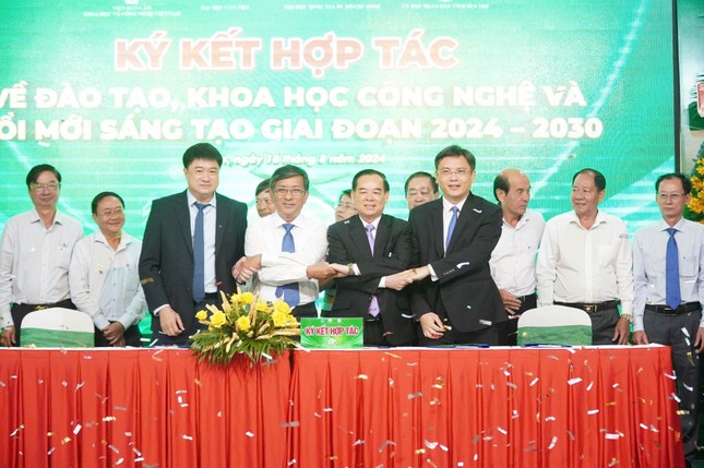 Bến Tre thu hơn nửa tỷ đô la mỗi năm từ dừa - Ảnh 3