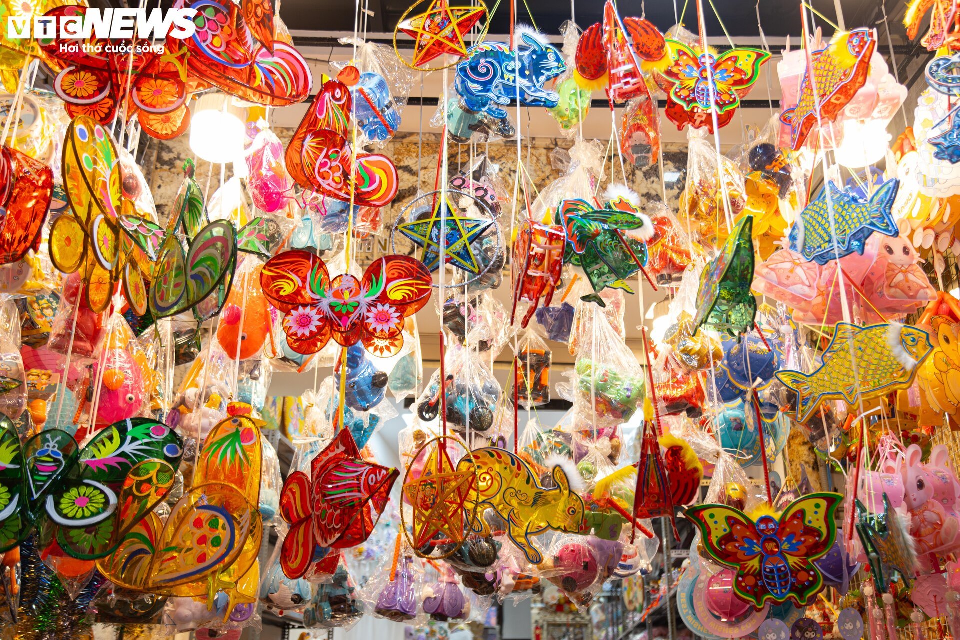 Phố cổ Hà Nội vào mùa Trung thu, cửa hàng chi gần 300 triệu lắp dàn đèn cá chép - Ảnh 7