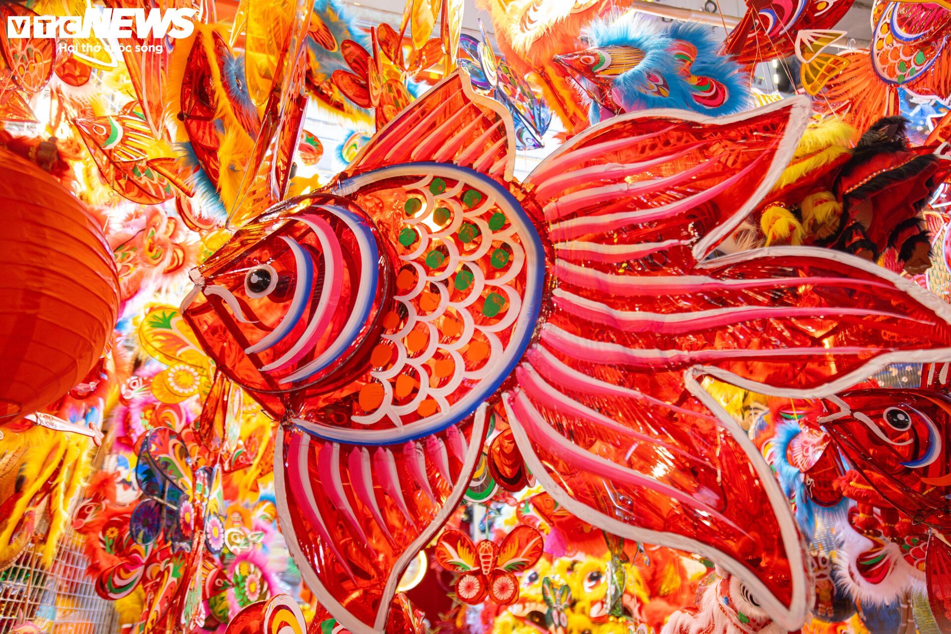 Phố cổ Hà Nội vào mùa Trung thu, cửa hàng chi gần 300 triệu lắp dàn đèn cá chép - Ảnh 11