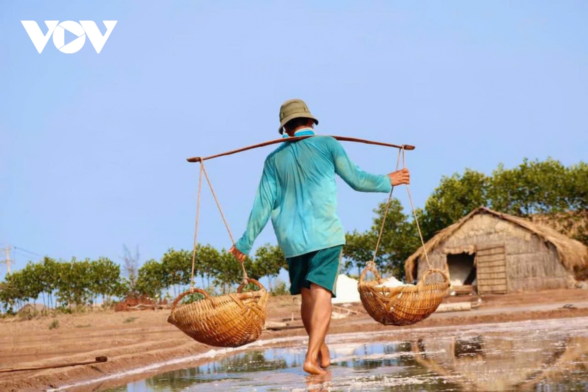 Giá muối thương phẩm sụt giảm diêm dân Bến Tre thất thu - Ảnh 2