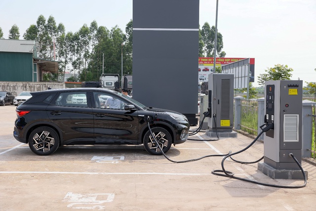 BYD và mục tiêu phổ cập xe điện tại Việt Nam - Ảnh 3