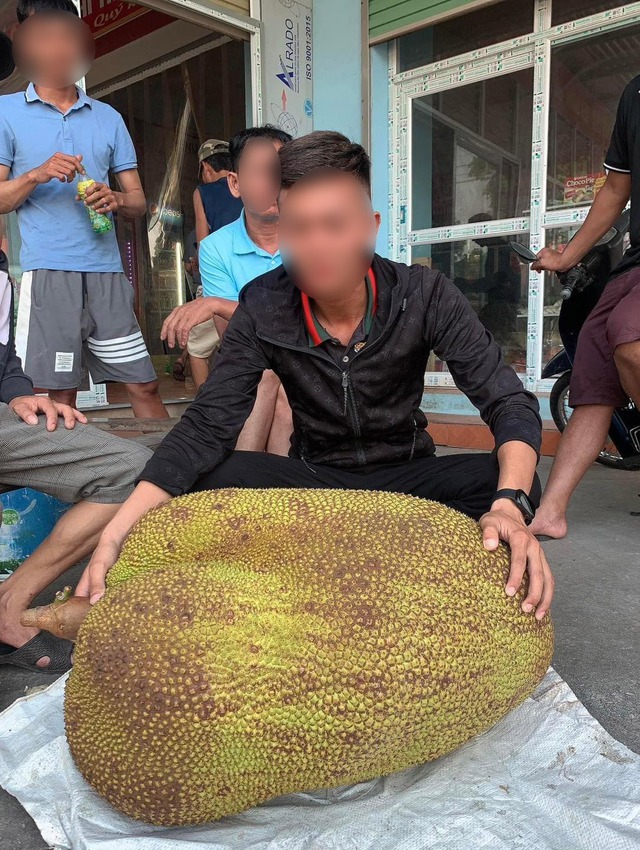 Quả mít nặng nhất Việt Nam hiện nay: Kích thước "khủng", "xô đổ" cả kỷ lục thế giới? - Ảnh 5