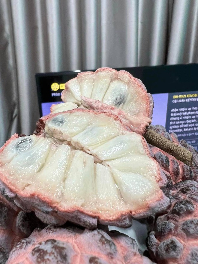 Loại trái cây Việt là "vị thần cho sức khỏe", từng không ai ngó nay giá đến 200.000 đồng/kg vẫn không có để bán - Ảnh 20