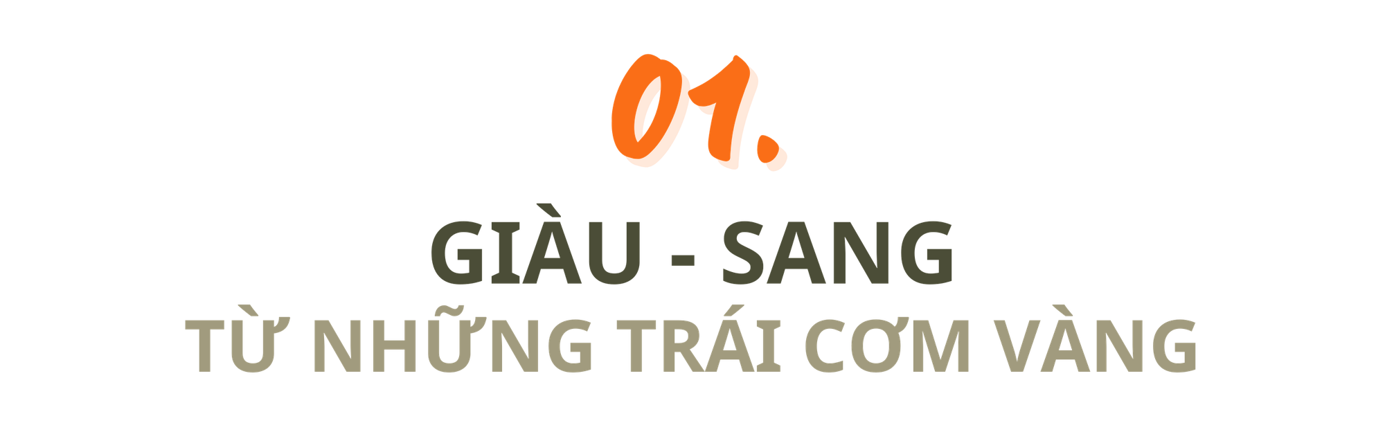 Rộn ràng ngày mùa ở thủ phủ sầu riêng Đắk Lắk - Ảnh 8