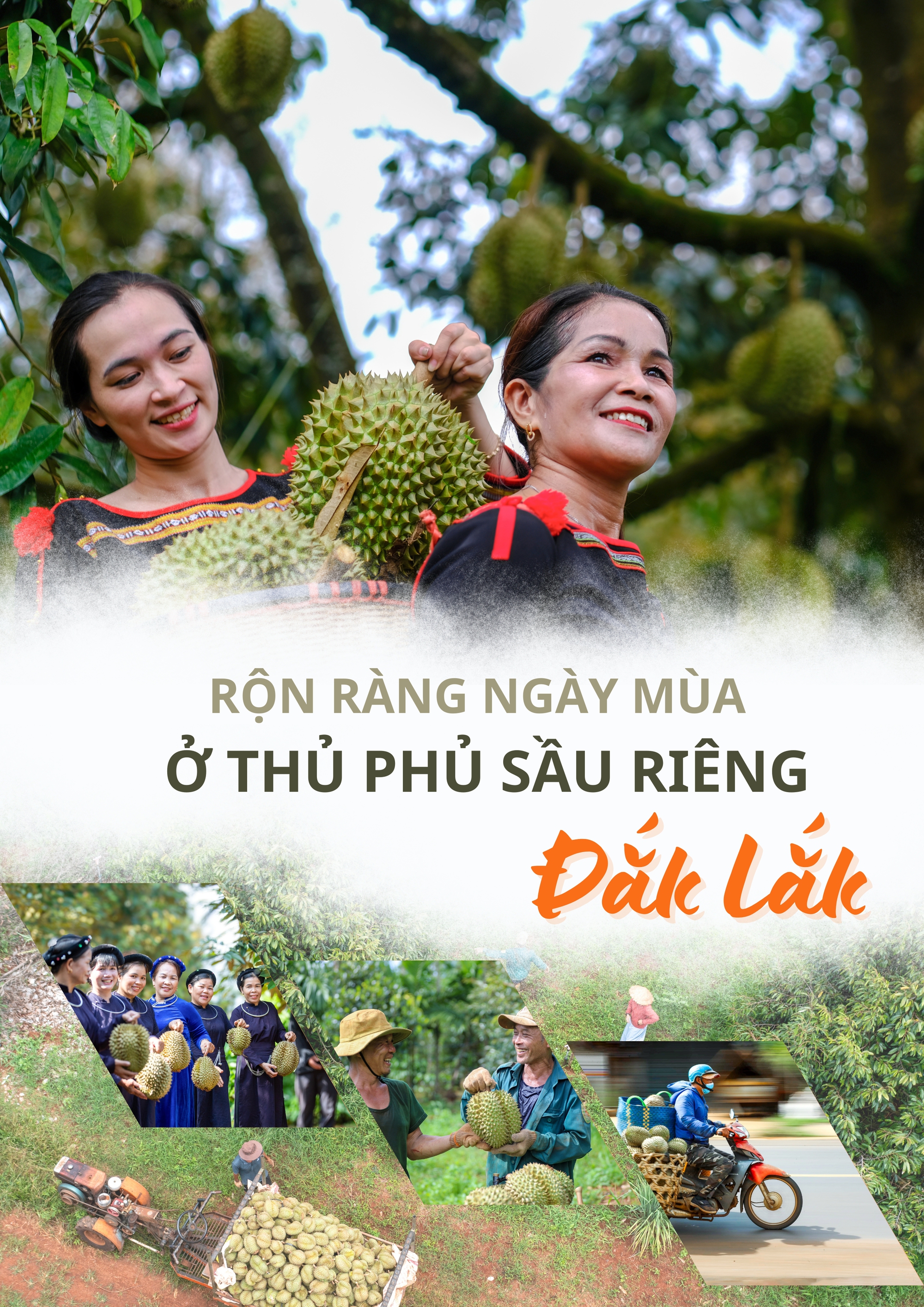 Rộn ràng ngày mùa ở thủ phủ sầu riêng Đắk Lắk - Ảnh 1
