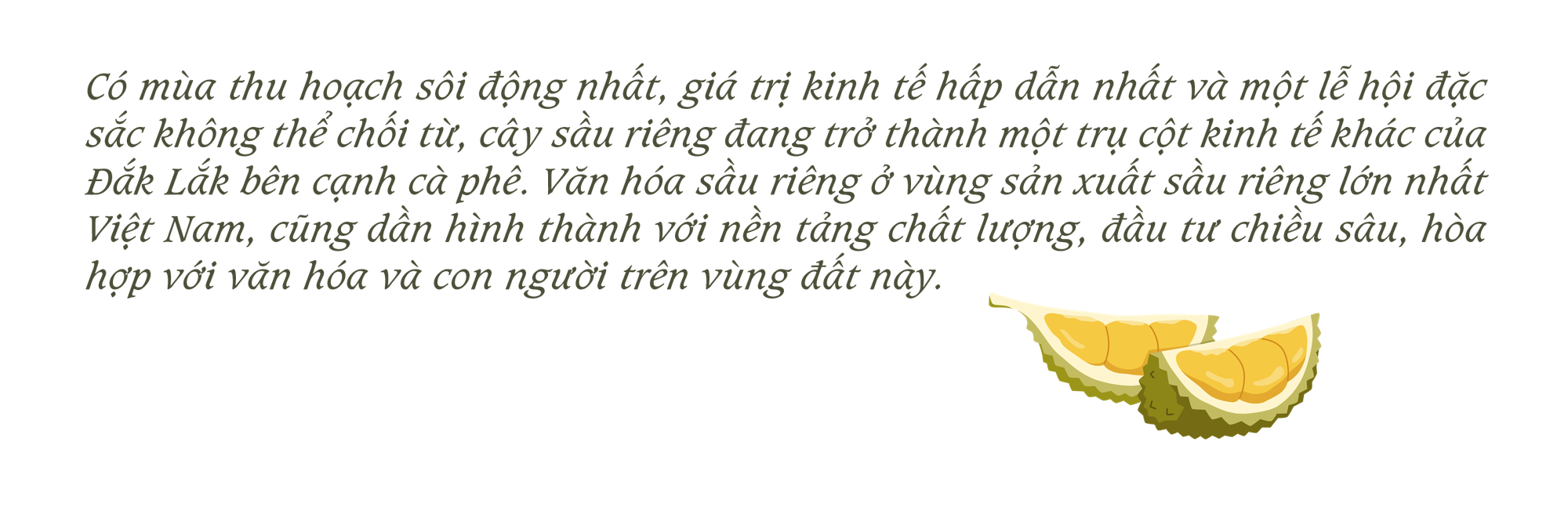 Rộn ràng ngày mùa ở thủ phủ sầu riêng Đắk Lắk - Ảnh 2