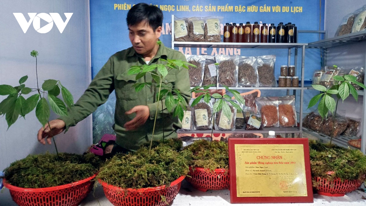 Mất cả thương hiệu vì coi nhẹ truy xuất nguồn gốc - Ảnh 1