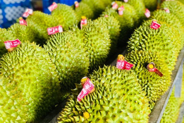 Đây là loại quả Trung Quốc trồng mãi vẫn thất bại, Việt Nam xuất khẩu thu hàng loạt kỷ lục - Ảnh 2