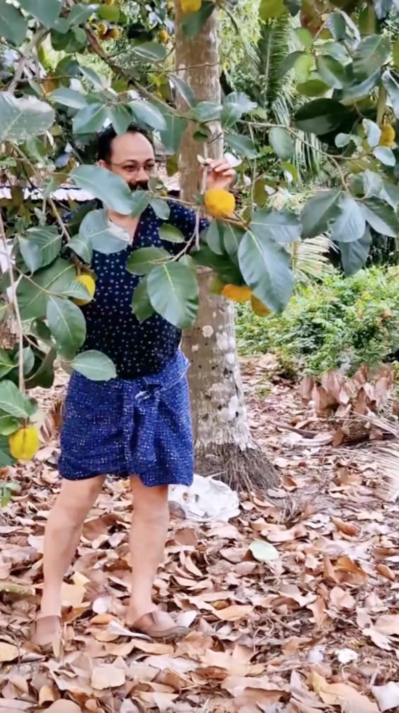 Loại mít "ngon nhất thế giới" tại Việt Nam: Đắt gấp 5 lần mít Thái, quả nhỏ xíu nhưng nhiều người quyết mua bằng được - Ảnh 3