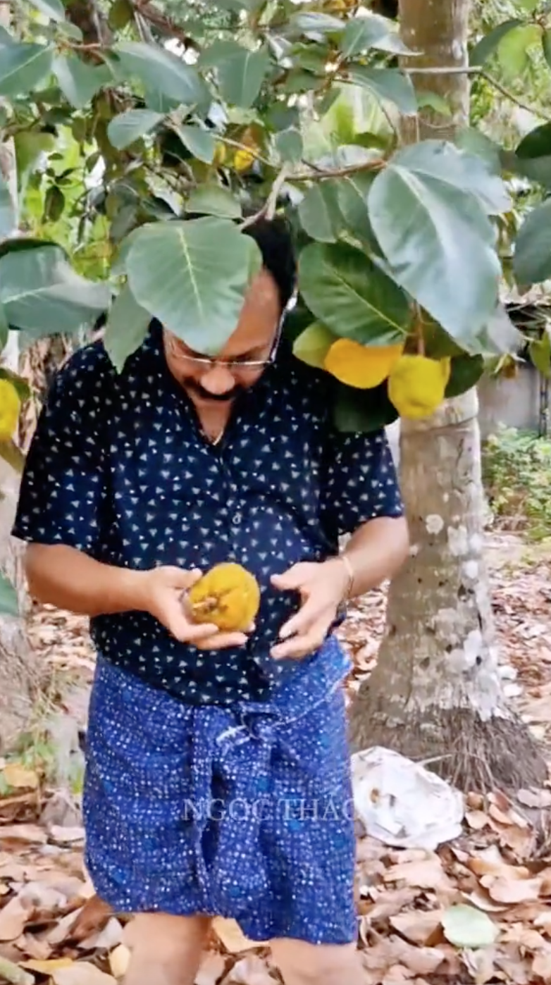 Loại mít "ngon nhất thế giới" tại Việt Nam: Đắt gấp 5 lần mít Thái, quả nhỏ xíu nhưng nhiều người quyết mua bằng được - Ảnh 4