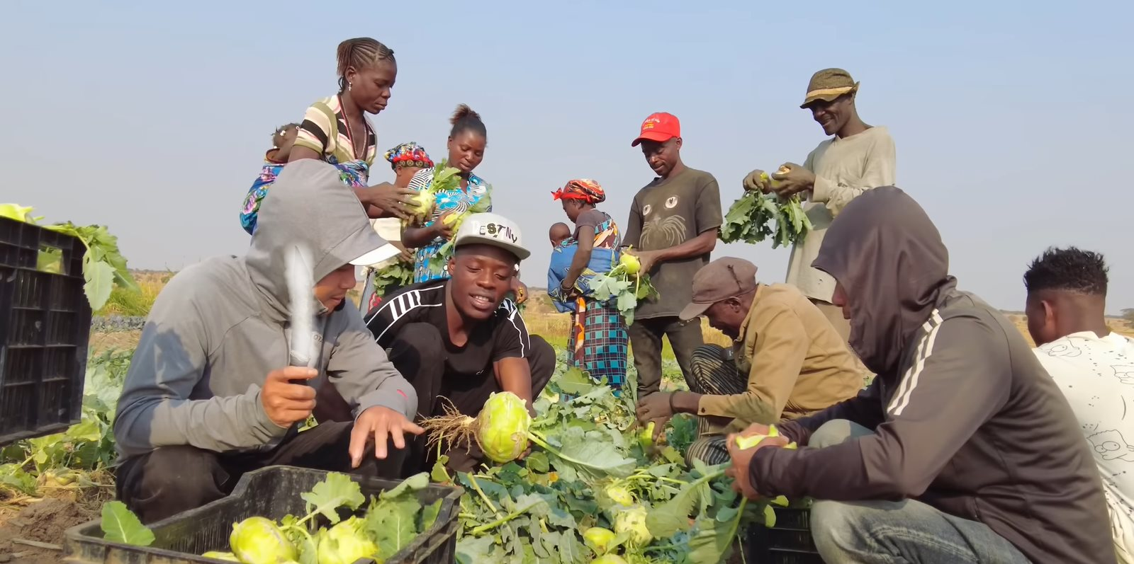 Loại củ bán đầy ở chợ Việt Nam, sang châu Phi được người Trung Quốc săn mua như đặc sản, giá cao hơn gấp đôi - Ảnh 2