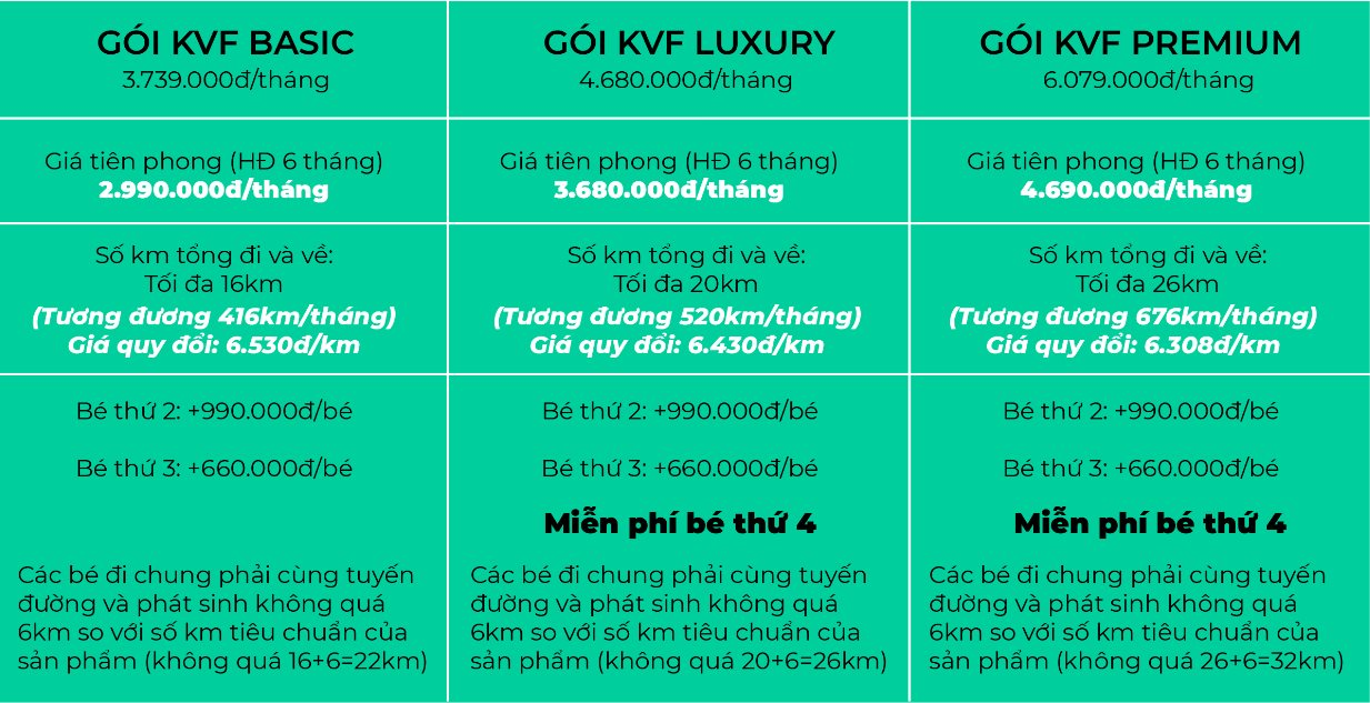 Hãng taxi điện bắt tay cùng VinFast và TMT Motors tung ảnh ra quân: Giá cước quy đổi thấp nhất từ 5.200 đồng/km, có thêm dịch vụ 0 đồng cho khách hàng - Ảnh 3