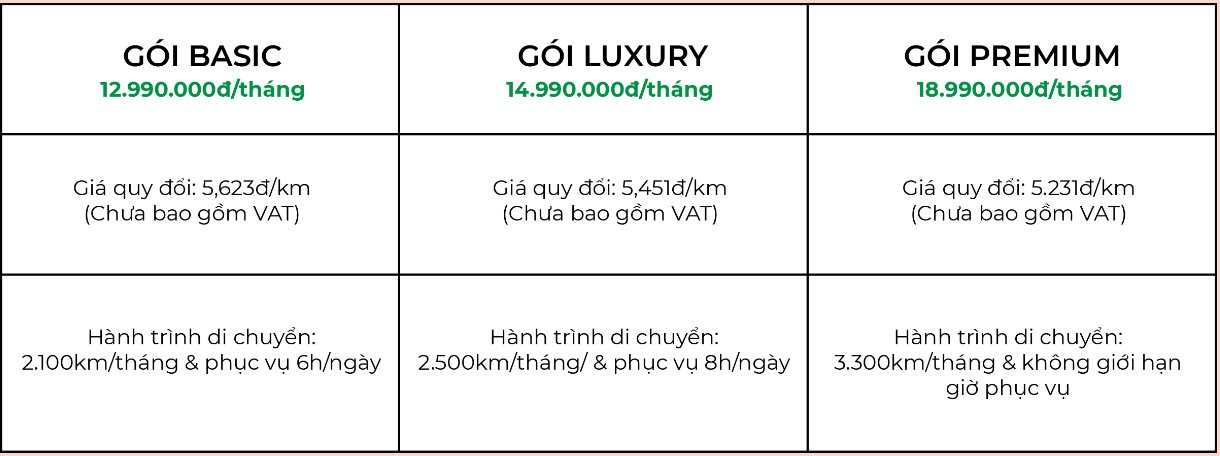 Hãng taxi điện bắt tay cùng VinFast và TMT Motors tung ảnh ra quân: Giá cước quy đổi thấp nhất từ 5.200 đồng/km, có thêm dịch vụ 0 đồng cho khách hàng - Ảnh 5