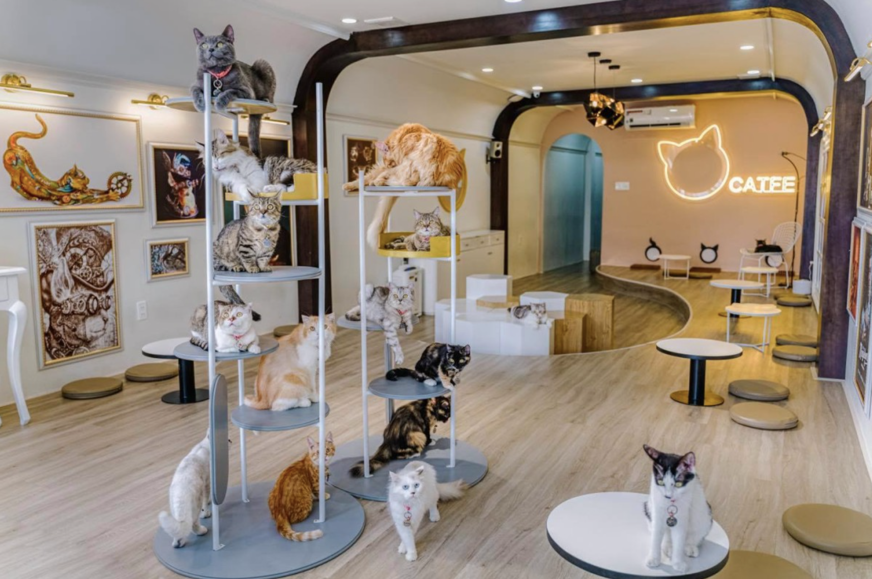 Cuộc chiến tỷ đô của các chuỗi cà phê Việt Nam: Highlands Coffee chạm mốc gần 800 quán, 'tân binh' Katinat trỗi dậy mạnh mẽ, The Coffee House đóng cửa loạt cửa hàng - Ảnh 6