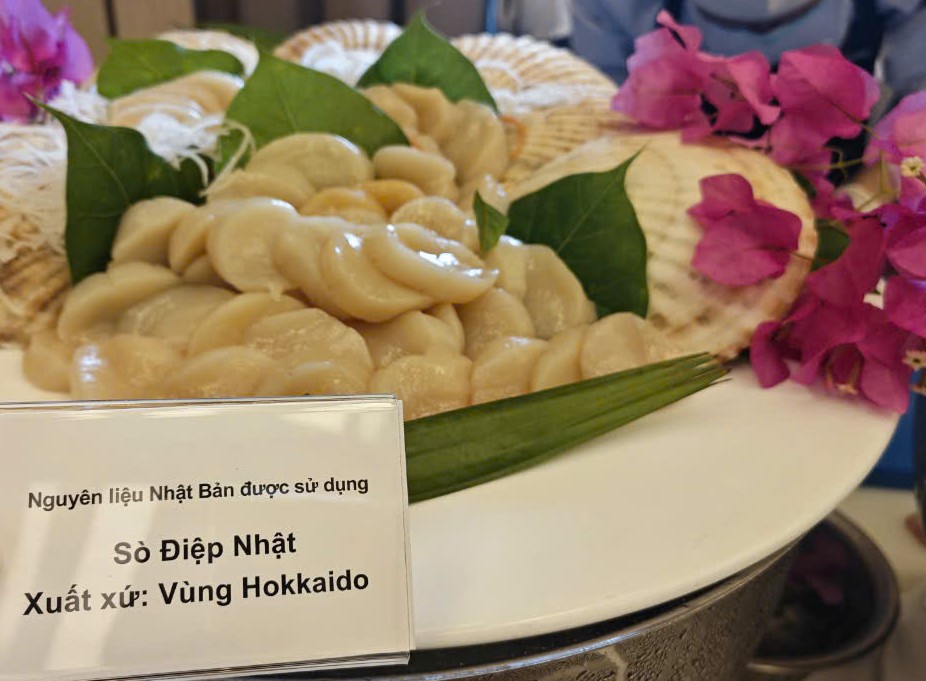 Sò điệp Nhật Bản giảm giá 50%, doanh nghiệp Việt Nam đua nhau nhập khẩu - Ảnh 1