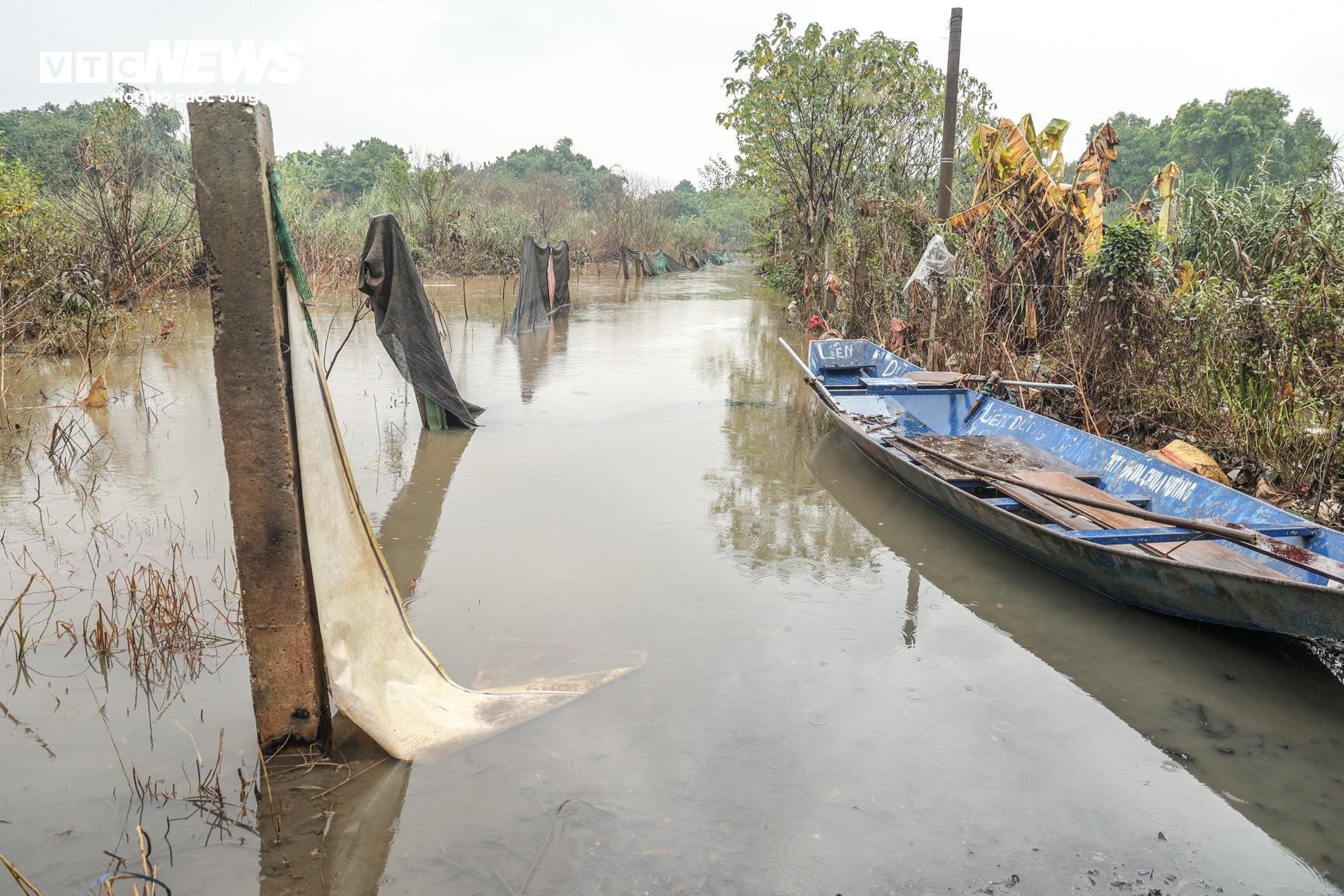 Nước lũ dâng cao, nông dân bãi giữa sông Hồng chèo thuyền mang nông sản đi bán - Ảnh 15