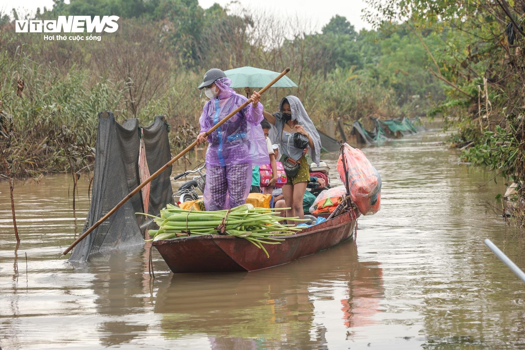 Nước lũ dâng cao, nông dân bãi giữa sông Hồng chèo thuyền mang nông sản đi bán - Ảnh 4