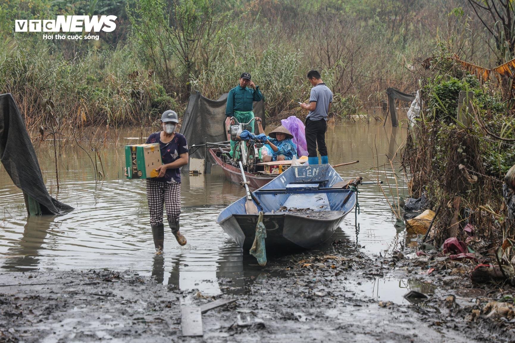 Nước lũ dâng cao, nông dân bãi giữa sông Hồng chèo thuyền mang nông sản đi bán - Ảnh 3