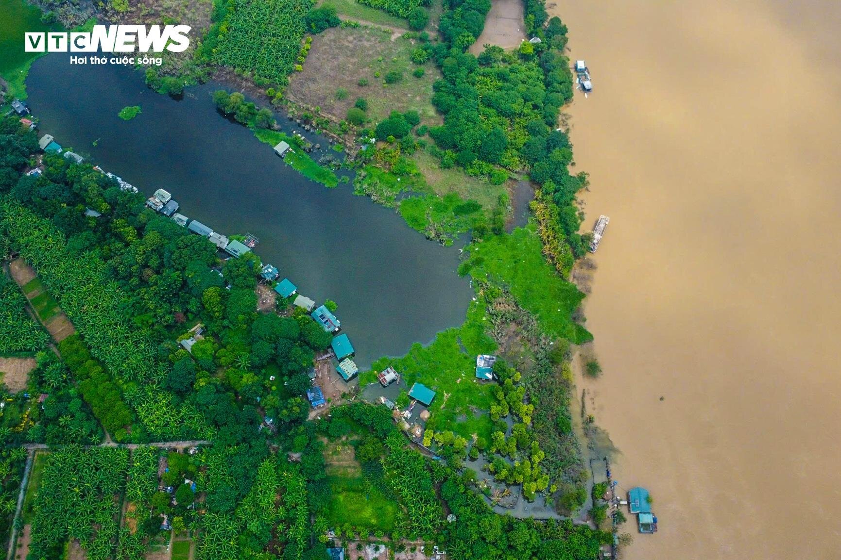 Nước lũ dâng cao, nông dân bãi giữa sông Hồng chèo thuyền mang nông sản đi bán - Ảnh 2
