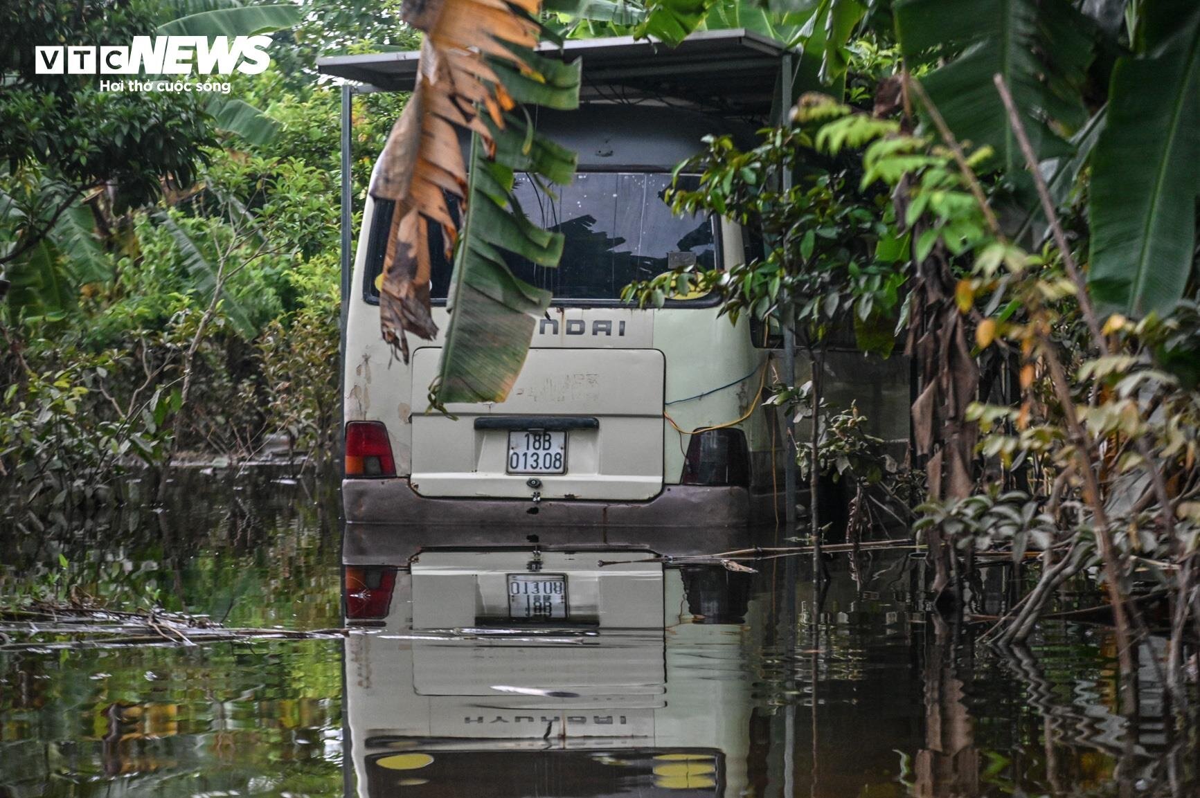 Nước lũ dâng cao, nông dân bãi giữa sông Hồng chèo thuyền mang nông sản đi bán - Ảnh 14