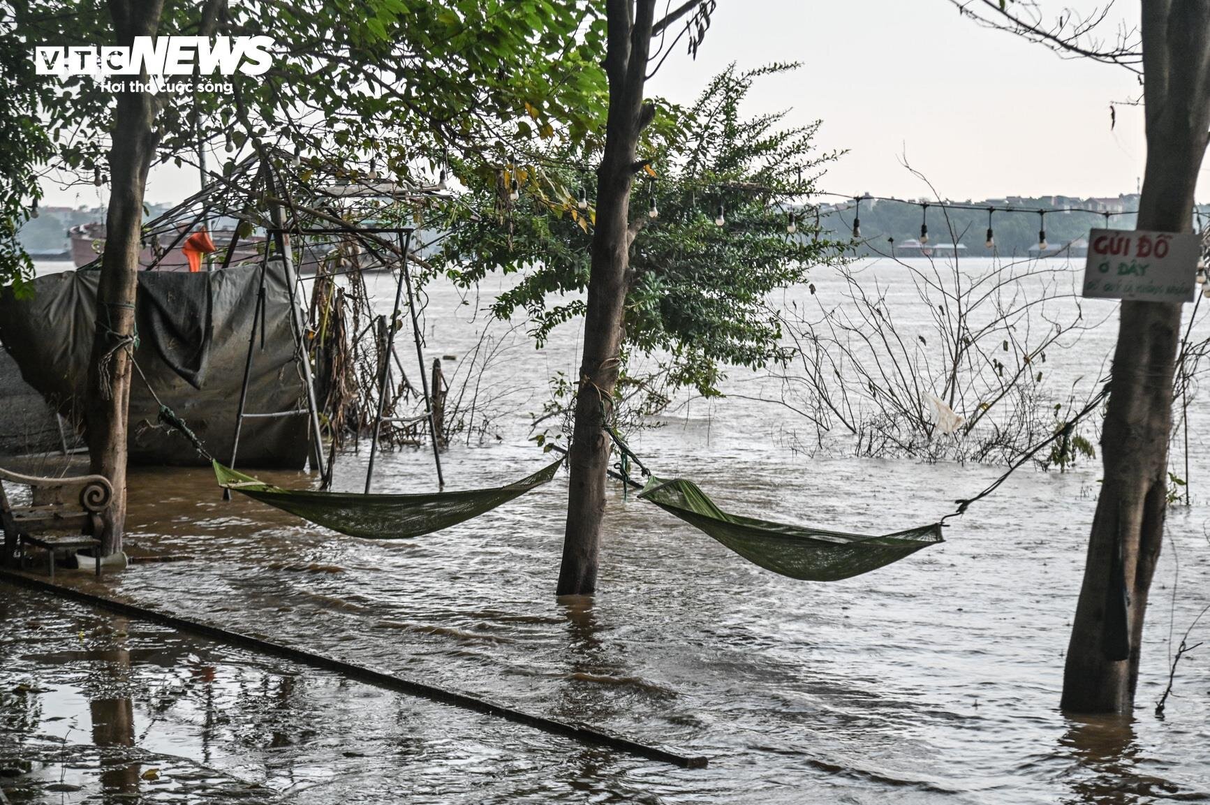 Nước lũ dâng cao, nông dân bãi giữa sông Hồng chèo thuyền mang nông sản đi bán - Ảnh 13