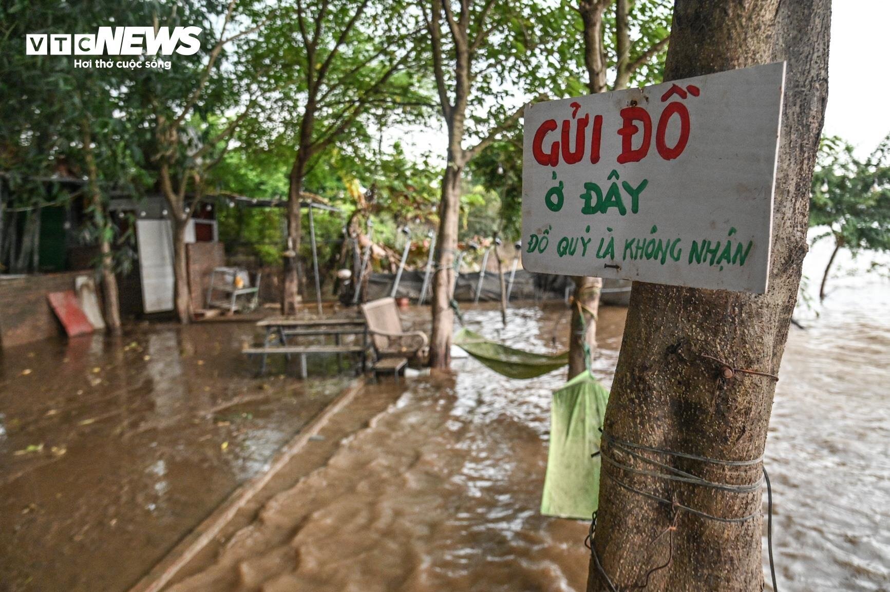 Nước lũ dâng cao, nông dân bãi giữa sông Hồng chèo thuyền mang nông sản đi bán - Ảnh 12