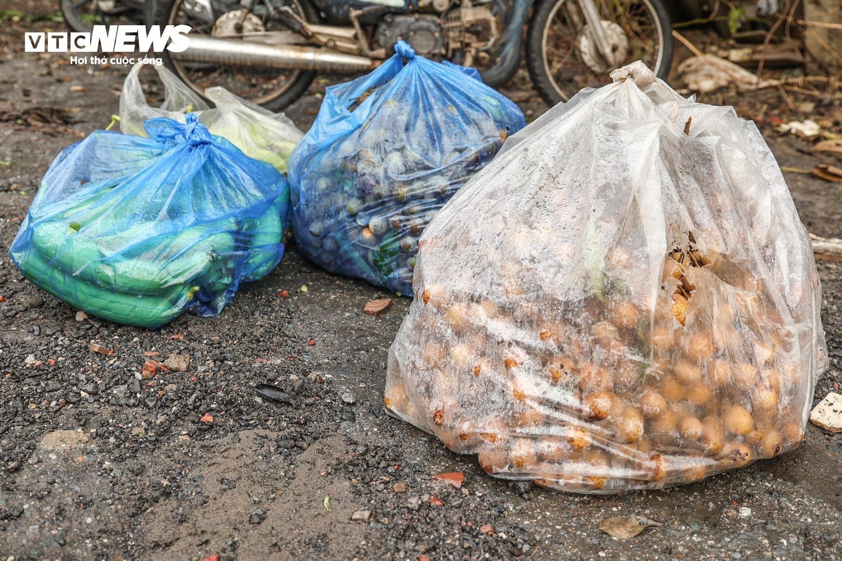 Nước lũ dâng cao, nông dân bãi giữa sông Hồng chèo thuyền mang nông sản đi bán - Ảnh 9