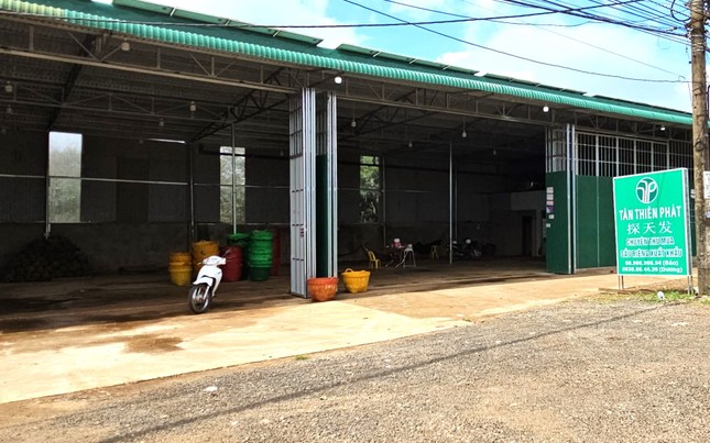 Cảnh lạ thường ở thủ phủ sầu riêng - Ảnh 4