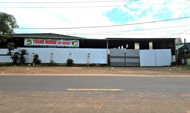 Cảnh lạ thường ở thủ phủ sầu riêng - Ảnh 3