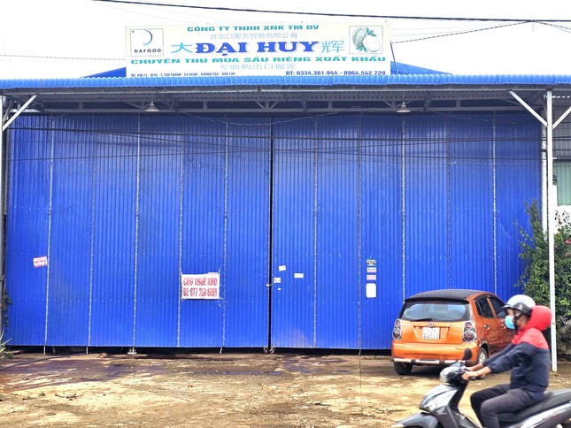 Cảnh lạ thường ở thủ phủ sầu riêng - Ảnh 2