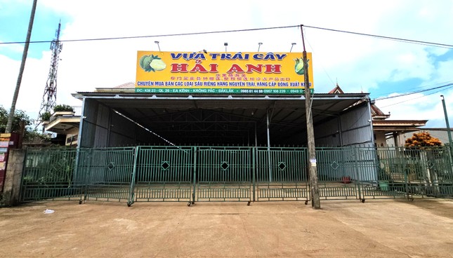 Cảnh lạ thường ở thủ phủ sầu riêng - Ảnh 1