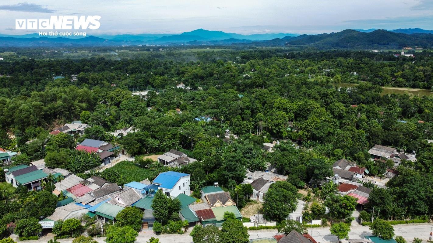 Loại quả ví như ‘vàng đen’ ở Hà Tĩnh mất mùa chưa từng có - Ảnh 1