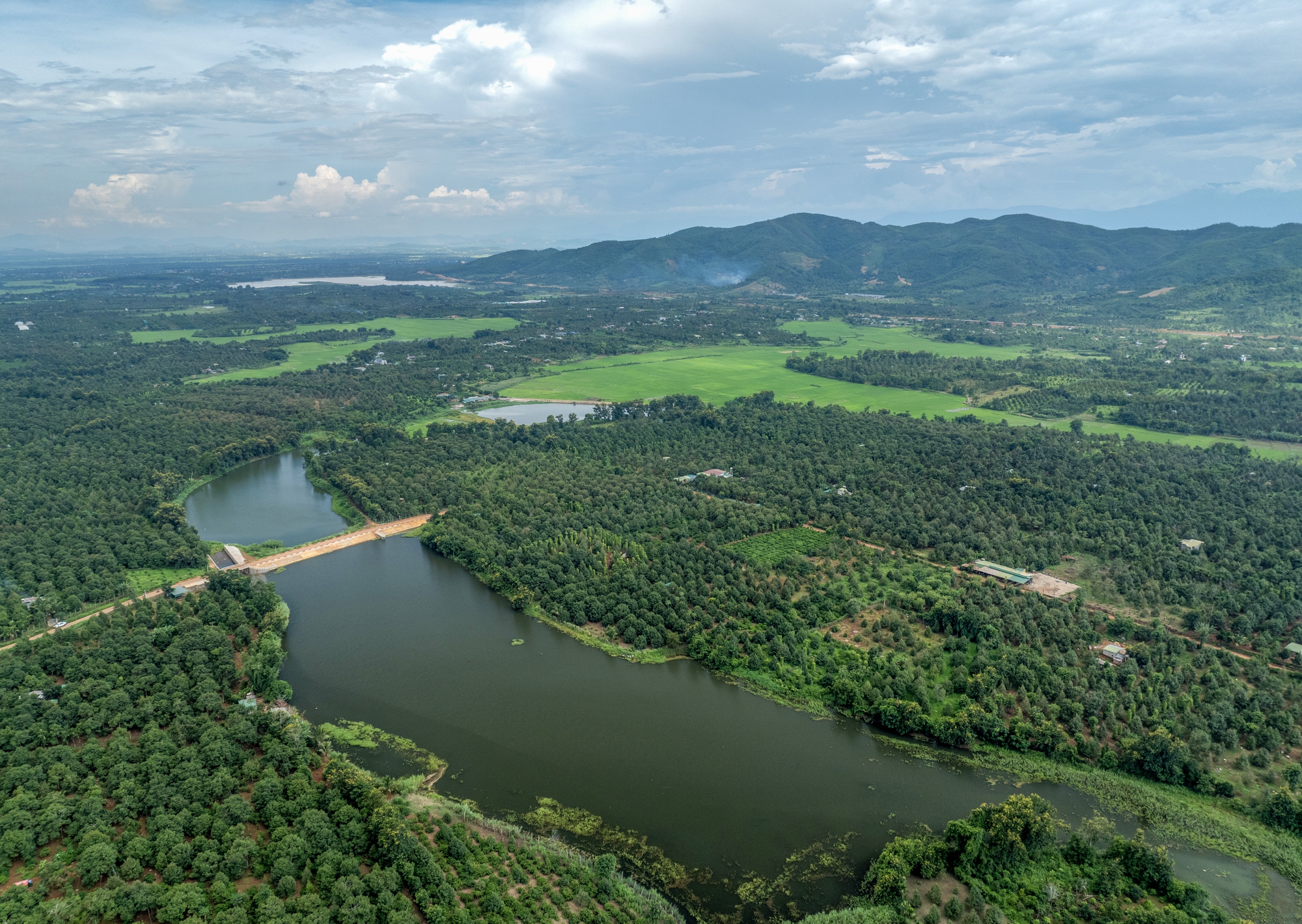 Rộn ràng ngày mùa ở thủ phủ sầu riêng Đắk Lắk - Ảnh 16