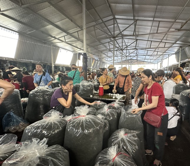 Vùng chè đặc sản Tân Cương: Đắng lòng vì chè mất giá - Ảnh 1